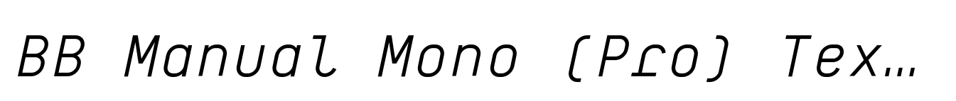 BB Manual Mono (Pro) Text Semi Regular Italic